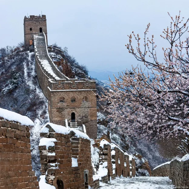 Great Wall watchtower with snow and winter branches
