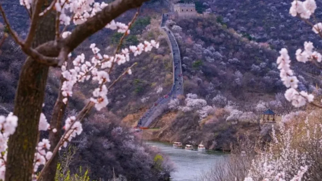 Steep Juyongguan Great Wall path and watchtower in autumn