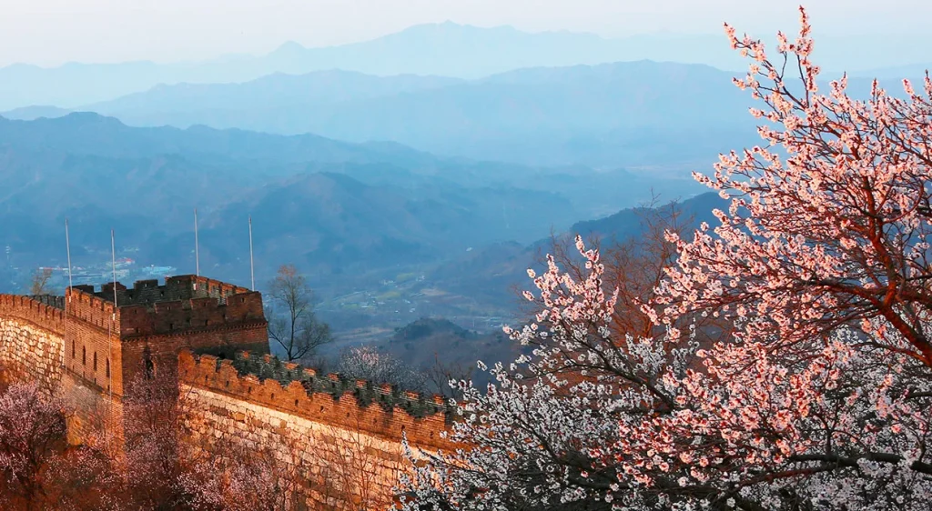 Mutianyu Great Wall in April with spring blossoms and mountain views