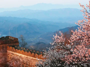 Mutianyu Great Wall in April with spring blossoms and mountain views