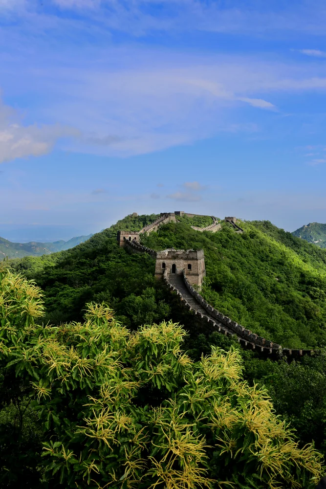 Green Mutianyu Great Wall watchtower in August