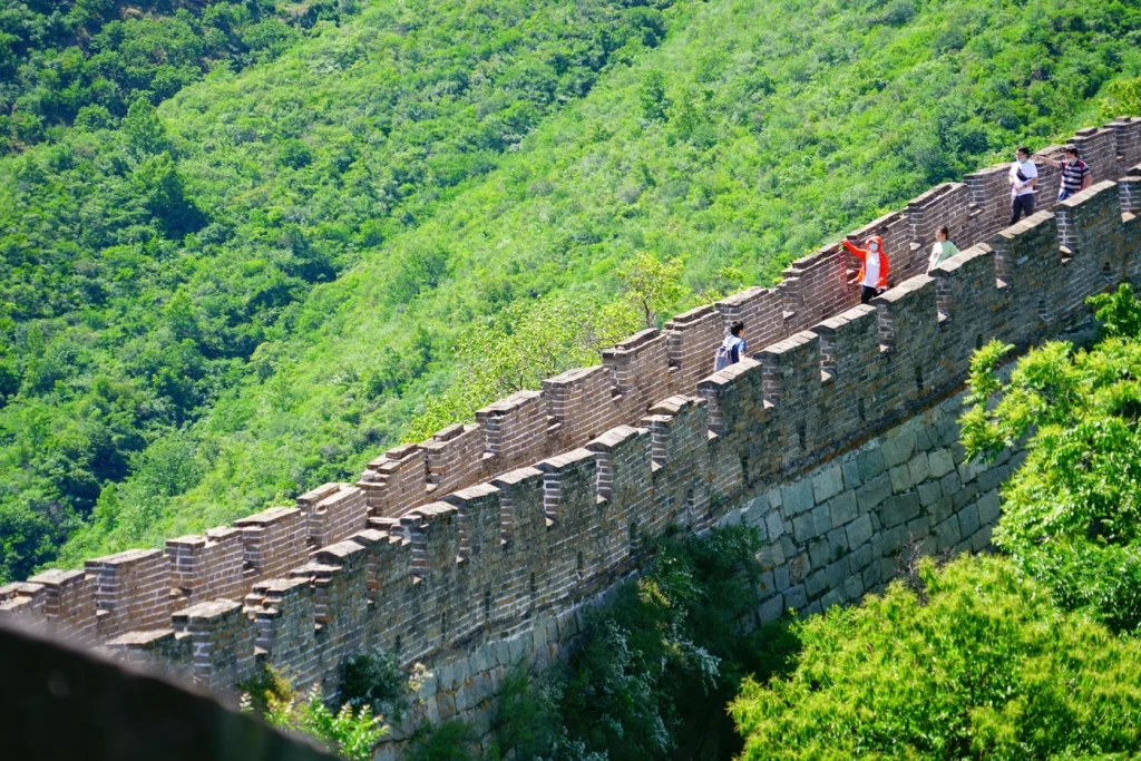 Dense green summer vegetation along Mutianyu Great Wall in July