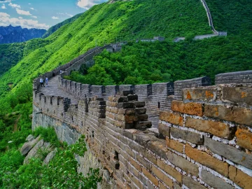 Vigorous green summer scenery at Mutianyu Great Wall
