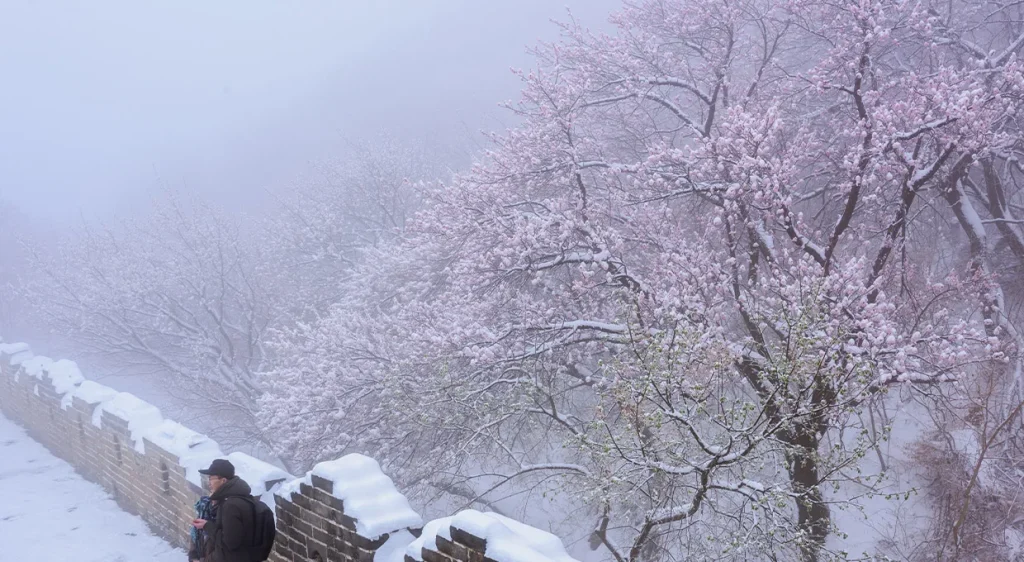 Late snow on Mutianyu Great Wall during early spring conditions