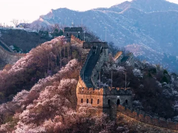 Mutianyu Great Wall with early spring blossoms in March