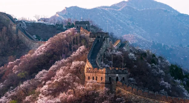 Mutianyu Great Wall with early spring blossoms in March