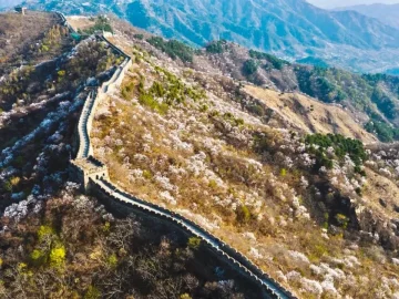 Restored Mutianyu Great Wall ridge suitable for a family walking plan