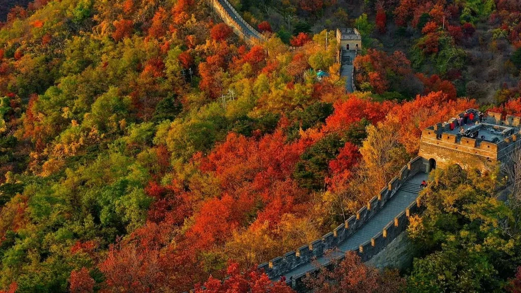 Mutianyu Great Wall autumn forest route for travelers starting from Sanlitun