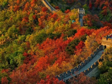 Mutianyu Great Wall autumn forest route for travelers starting from Sanlitun
