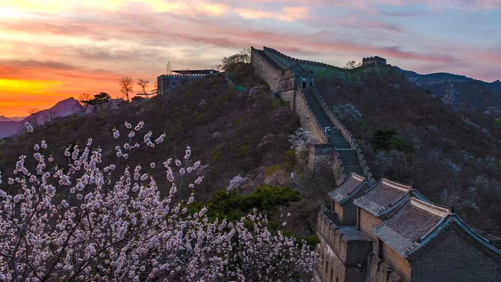 Mutianyu Great Wall blossom route for visitors staying near Sanlitun and embassies