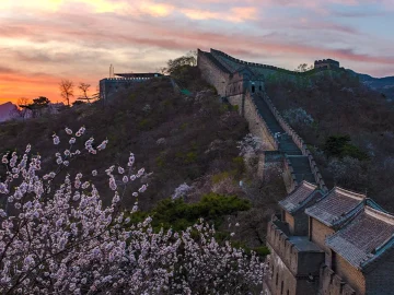 Mutianyu Great Wall blossom route for visitors staying near Sanlitun and embassies