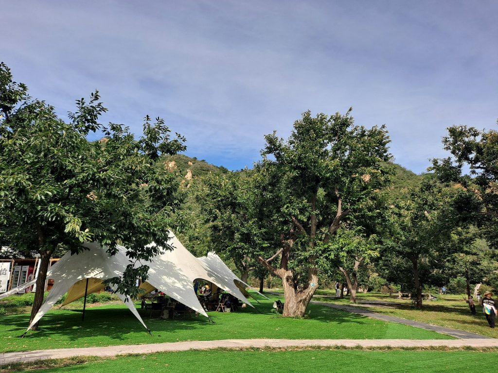 Chestnut trees and visitor rest area at Huanghuacheng Lakeside Great Wall